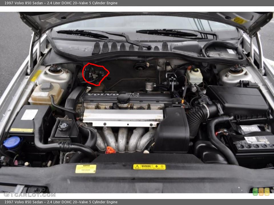 50889697.jpg