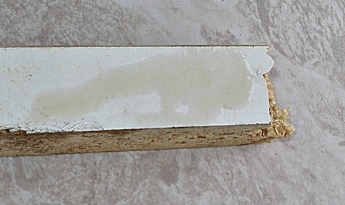 P1010157 x.JPG