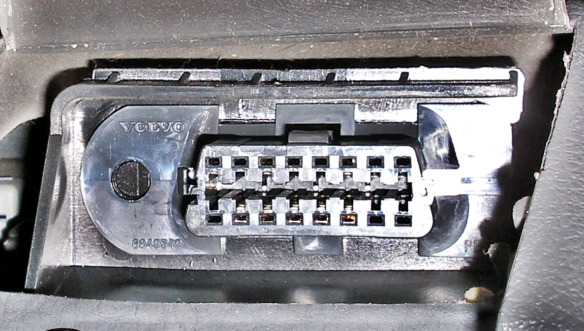 P1010483 a.JPG