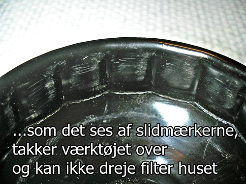 P1010510 x.JPG