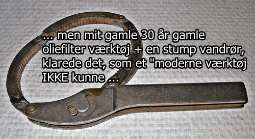 P1010513 x 1.JPG