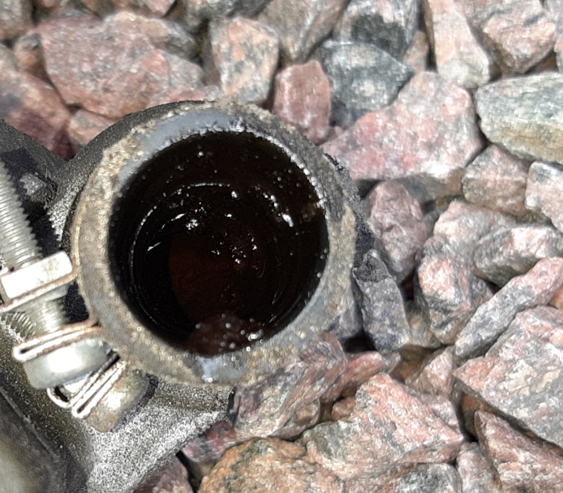 20190831_220111.jpg