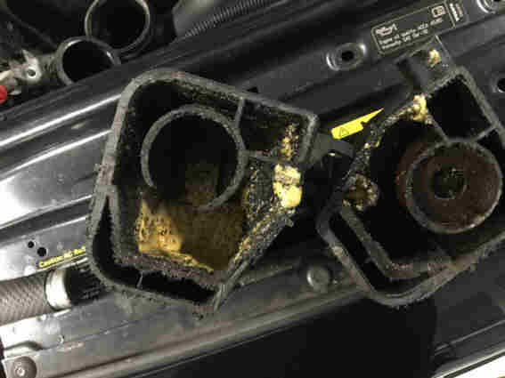 PCV Gunk 3.jpg