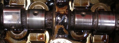 P8280253 a s.JPG