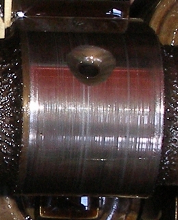 P8280253 b sJPG.jpg