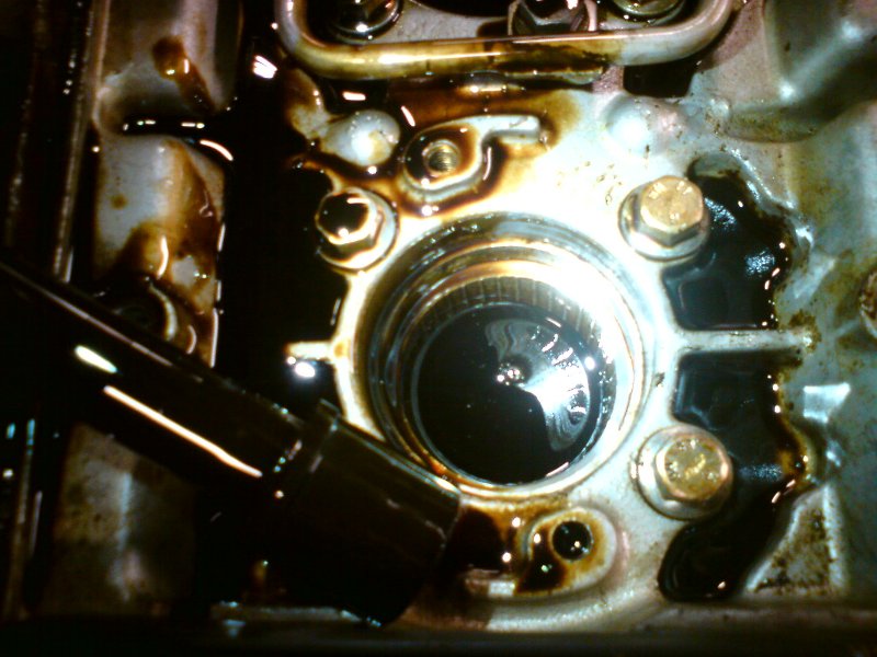 DSC00150_800x600.jpg